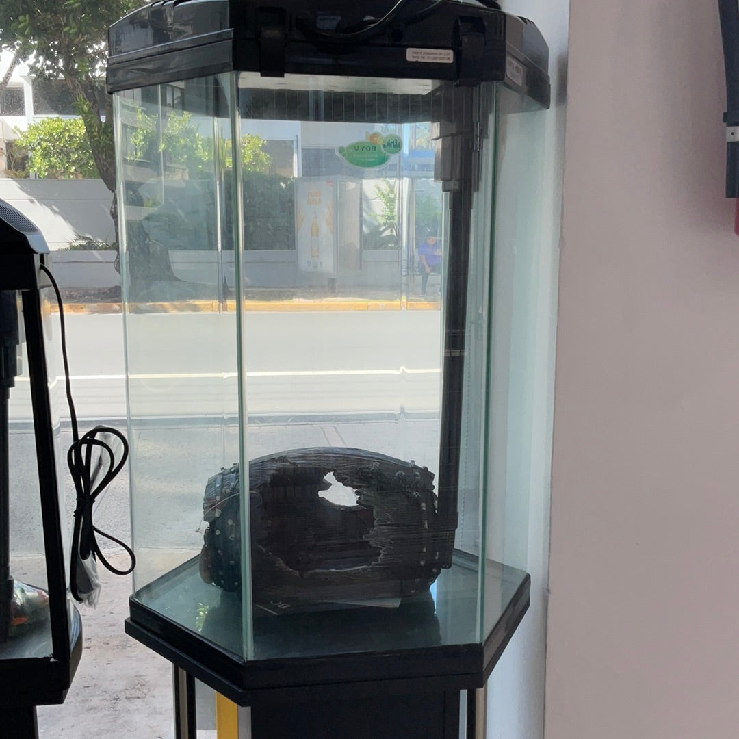 Pecera de 20 gal