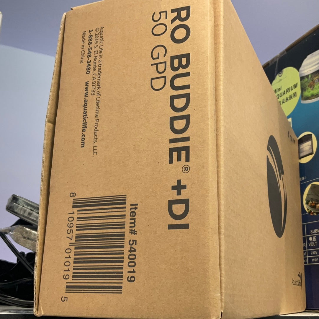 RO BUDDIE +DI