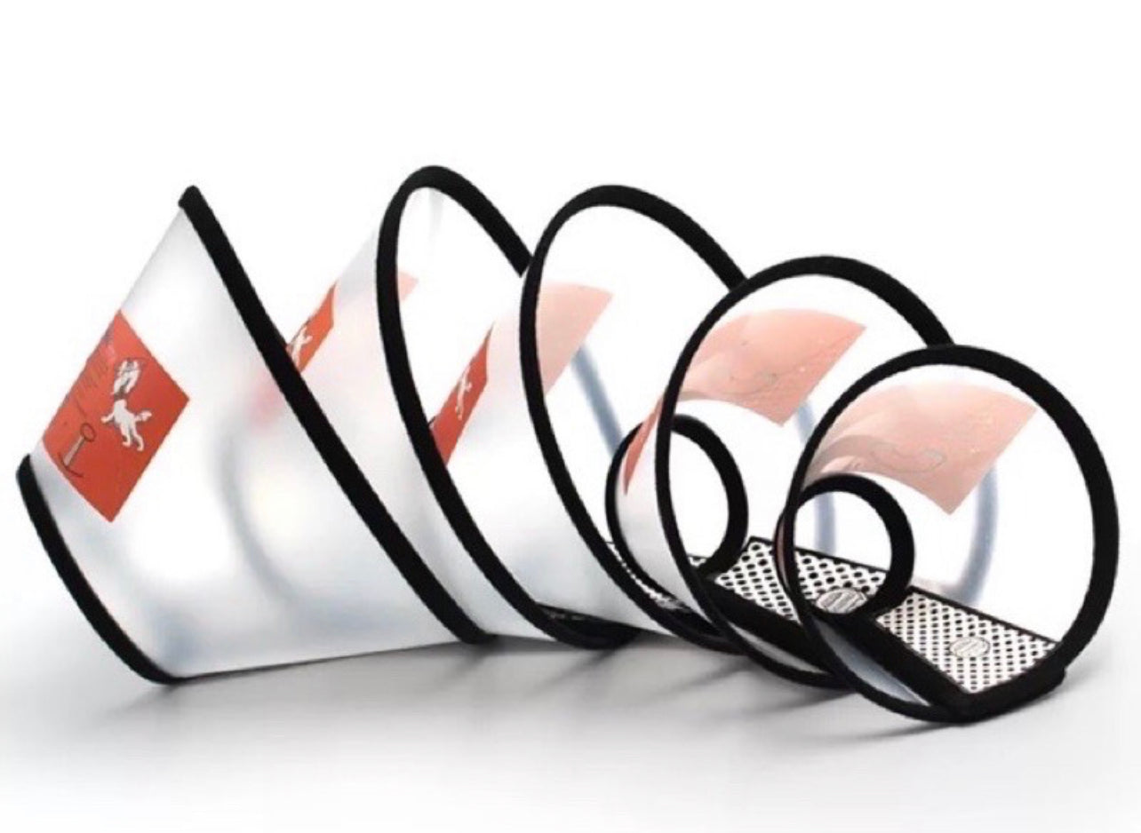 Pet Protection Collar