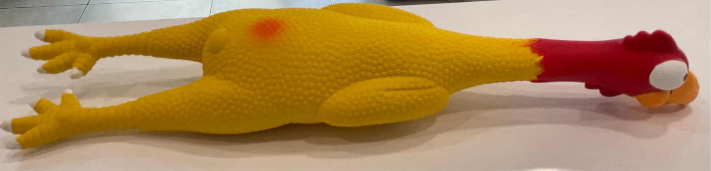 Squeaky Chicken 17”