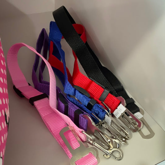 Dog Seat Belt