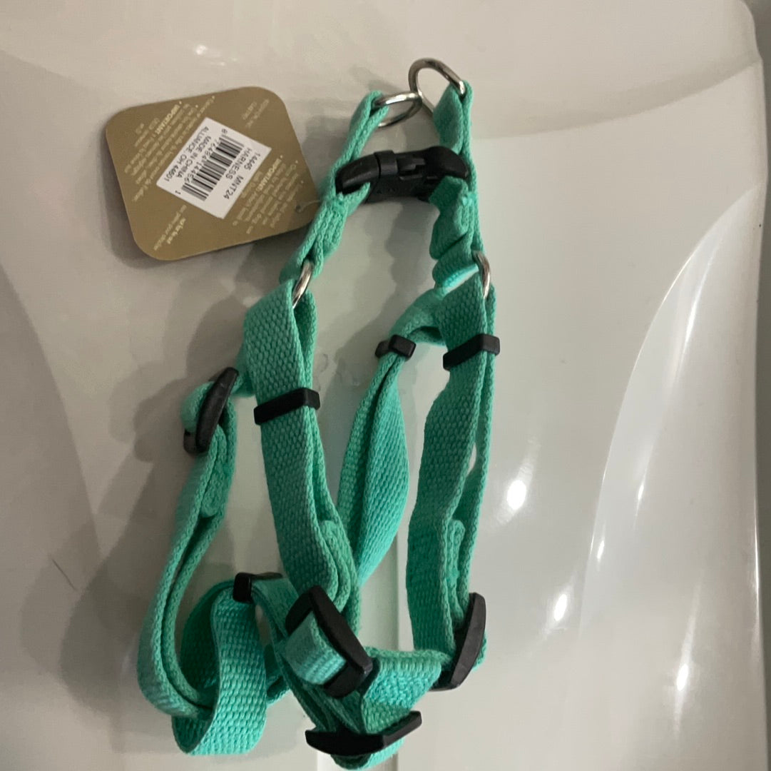 Coastal New Earth Small Harness Mint 16’’-24’’