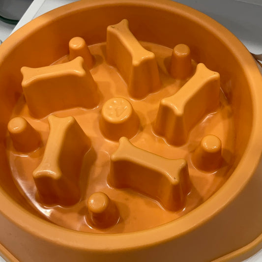 Masco Pets Slow Feeder bowl