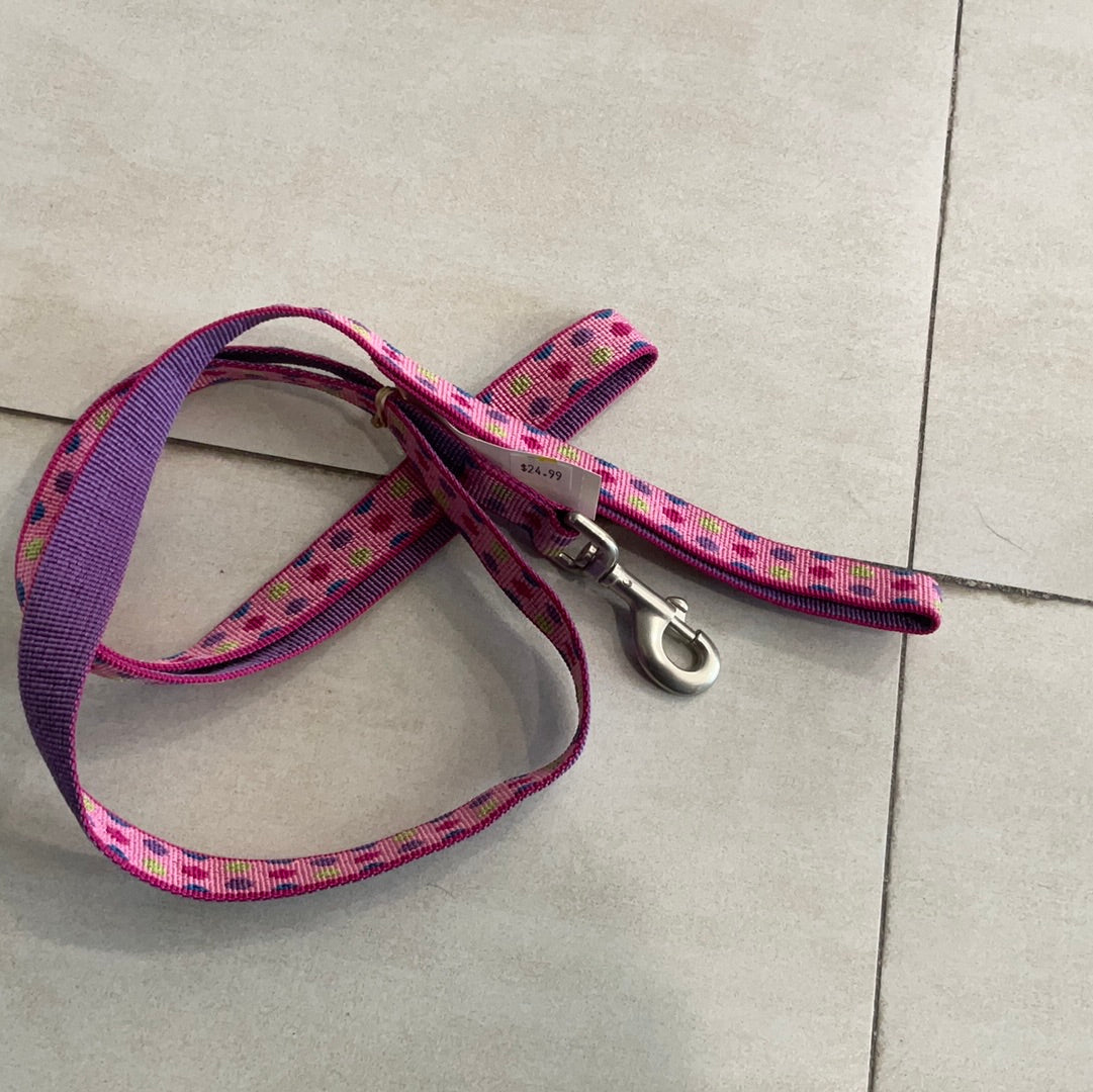 Pet Attire 6’ Leash