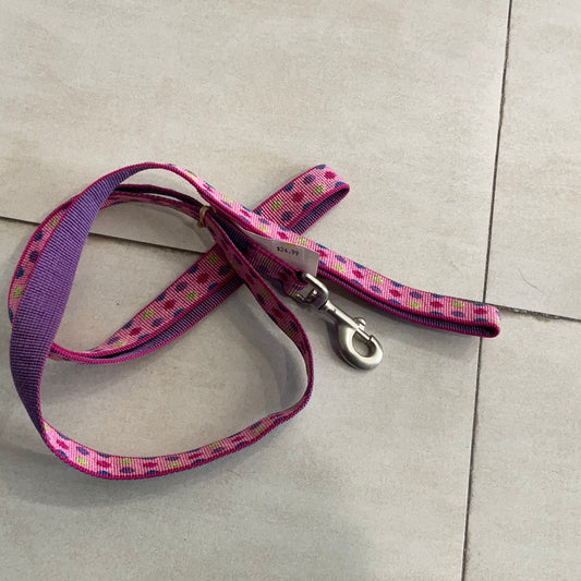 Pet Attire 6’ Leash