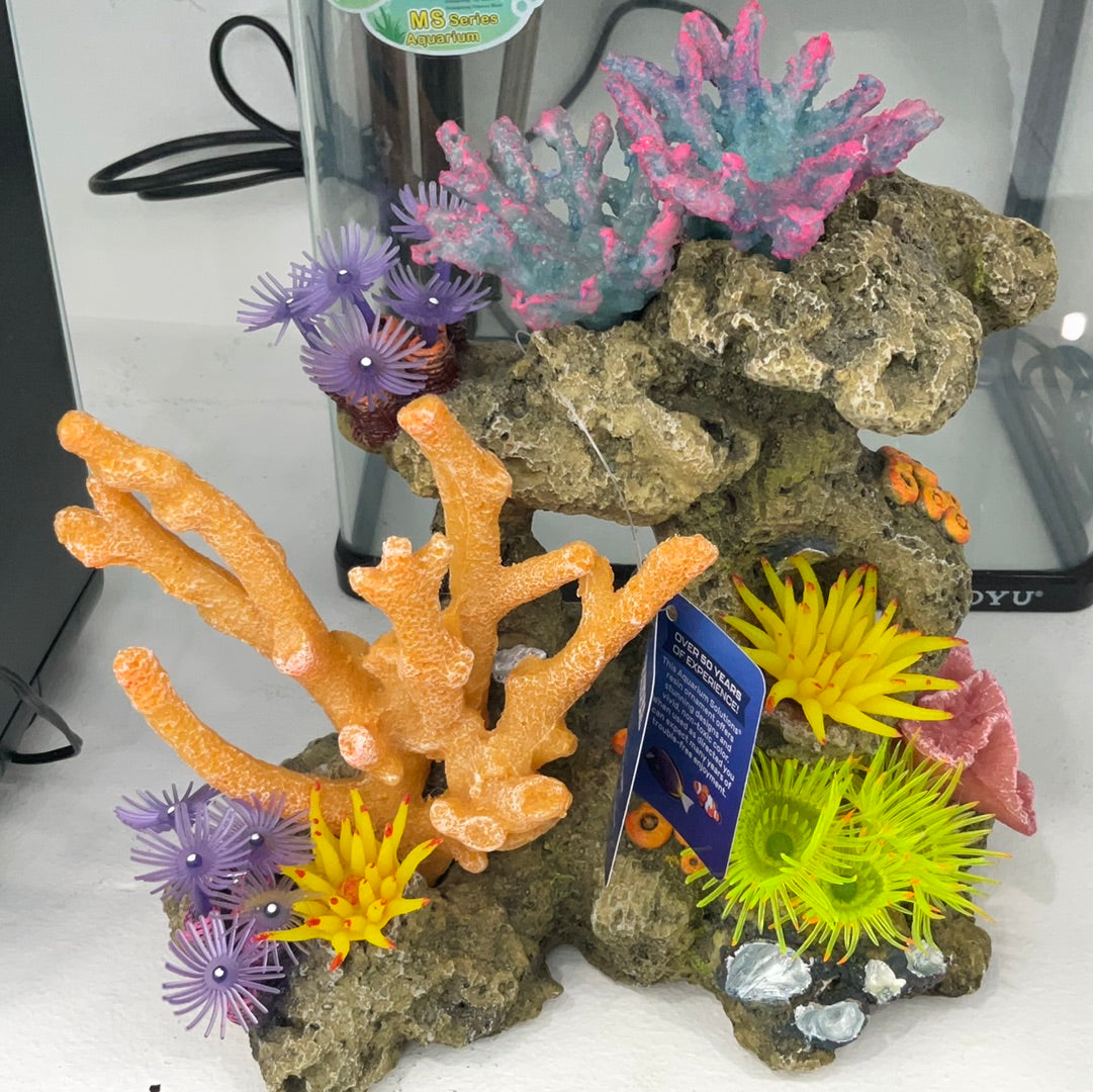 Coral Cliff