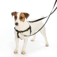 Control Training Harness