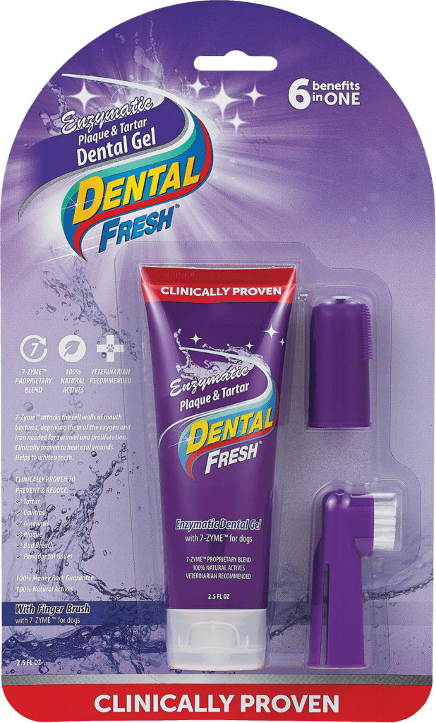 Dental Fresh Kit 2.5oz