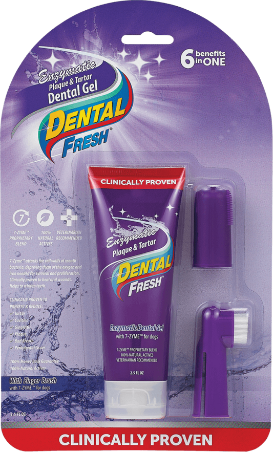 Dental Fresh Kit 2.5oz