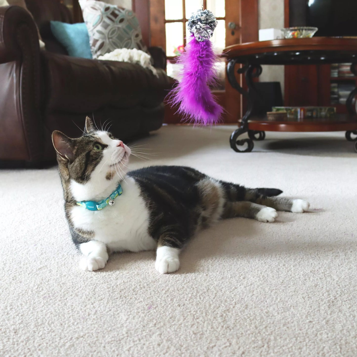Turbo Telescoping Teaser with Crinkle Tail