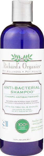 Anti-Bacterial Shampoo 12onz