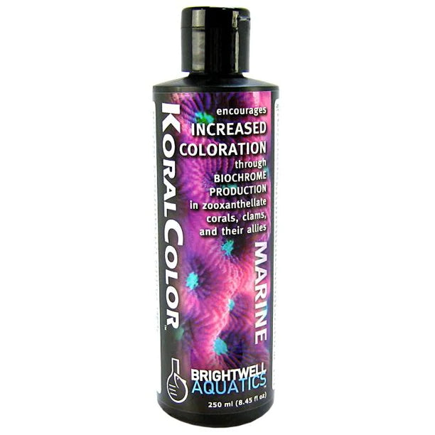 KoralColor