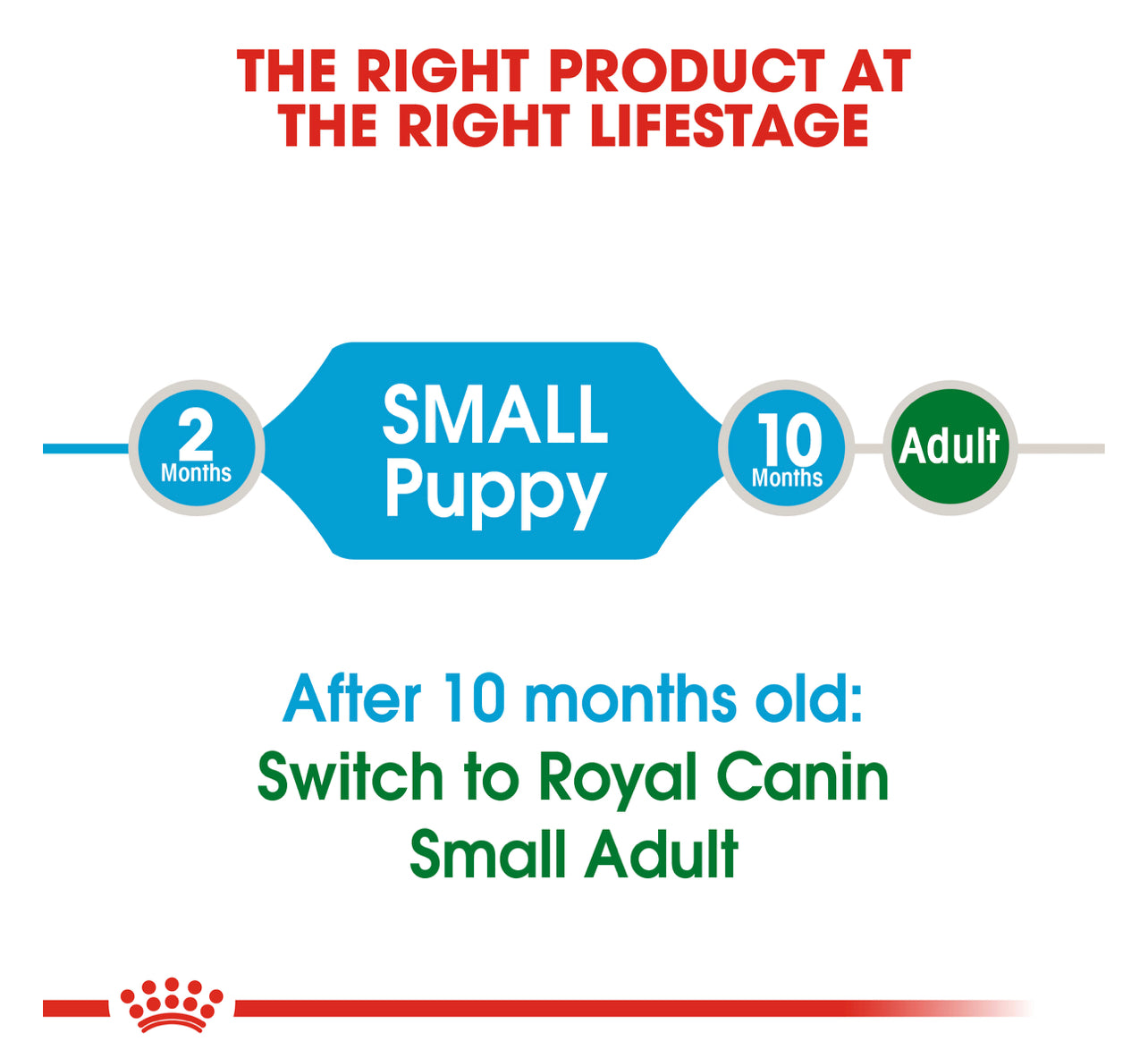 Royal Canin Small Puppy 2-10 meses