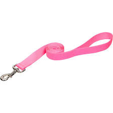 3/4” Dog Leash Nylon 48” Pet Heart