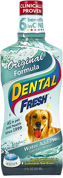 Dental Fresh Original 17onz