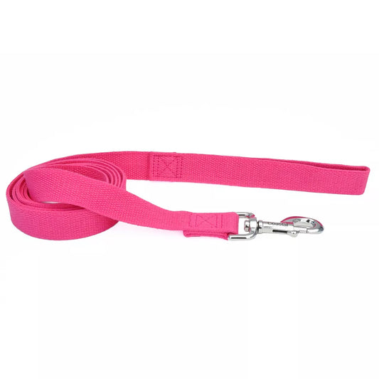 5/8” New Earth Soy Dog Leash 6’