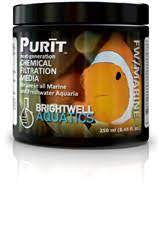 Purit