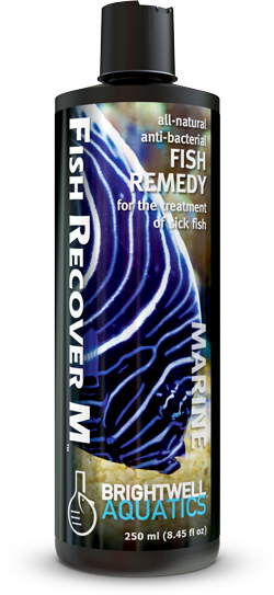 Fish Recovery M