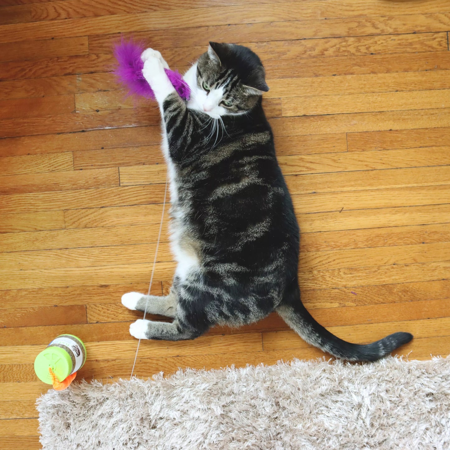 Turbo Telescoping Teaser with Crinkle Tail