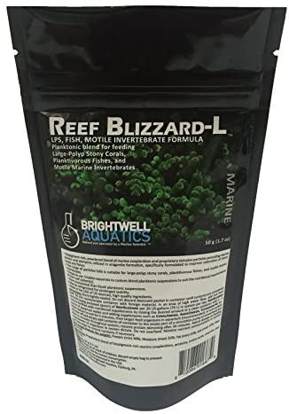 ReefBlizzard- L